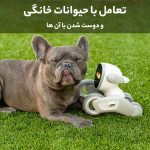 ربات هوشمند لونا Loona Pet Robot مجهر به Chat GPT-4o